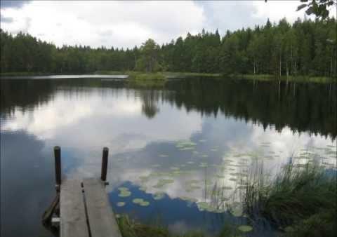 Metsäkirkko Pihtilammella 16.7.