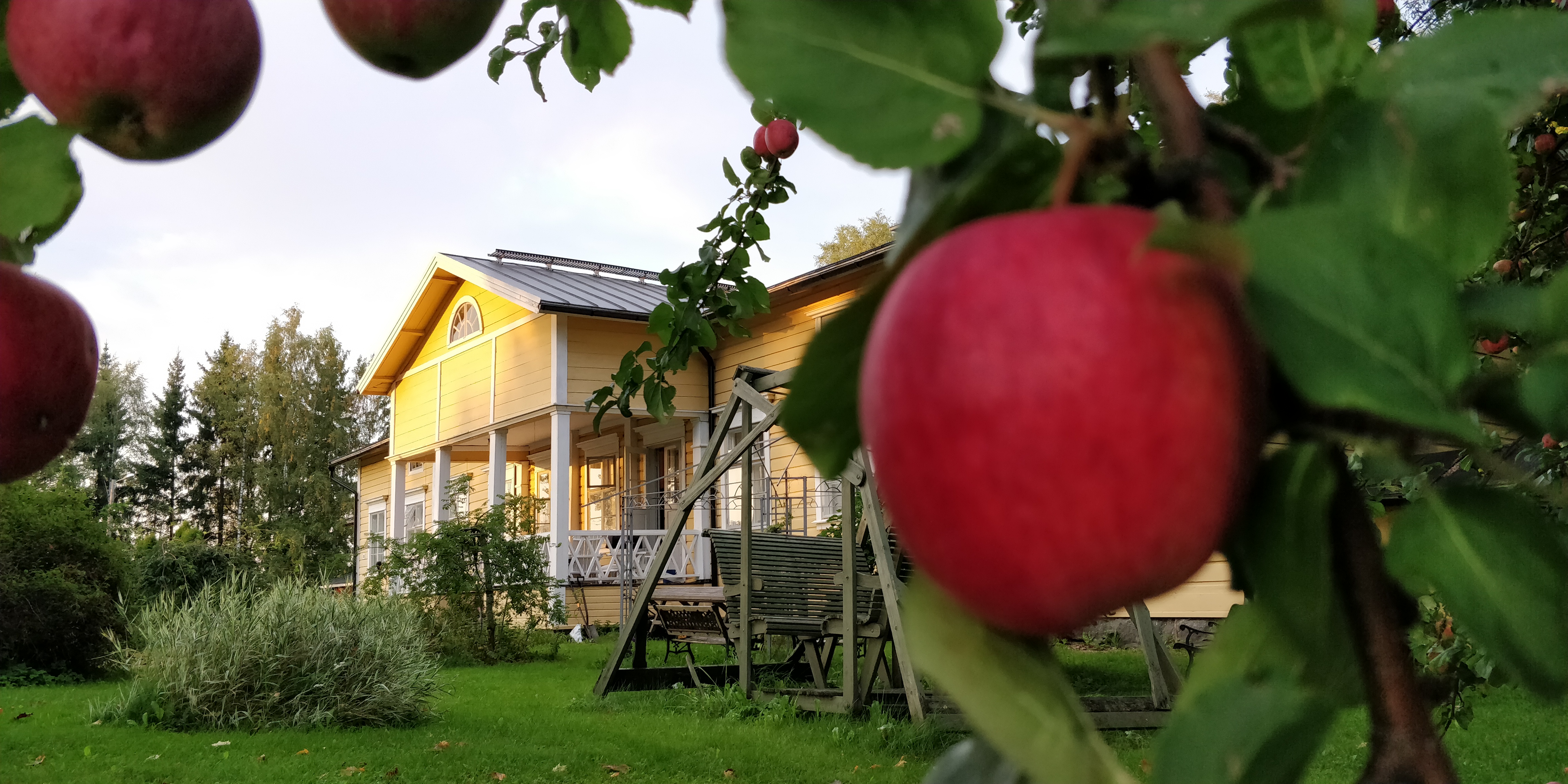 Pappilan pihaseurat Pälkäneen pappilan kuisti ja omenapuussa on omenoita.