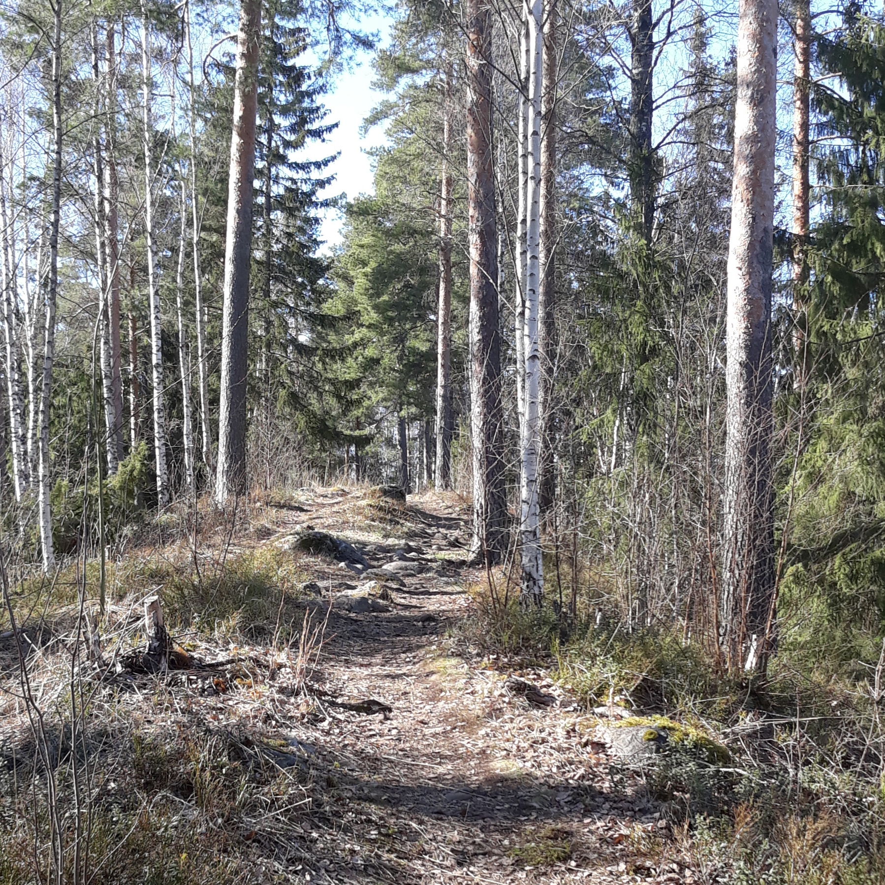 polku