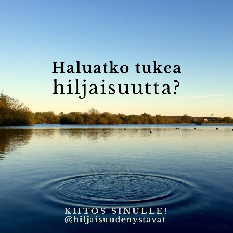 kesäinen järvenpinta